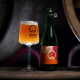 In Tension - Rhubarb Saison