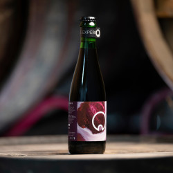 Souvenir De Cassis - Blackcurrant Saison